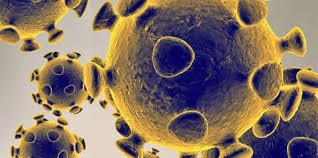 coronavirus,coronavirus epidemic,coronavirus spreads,coronavirus and gold,coronavirus hits markets,